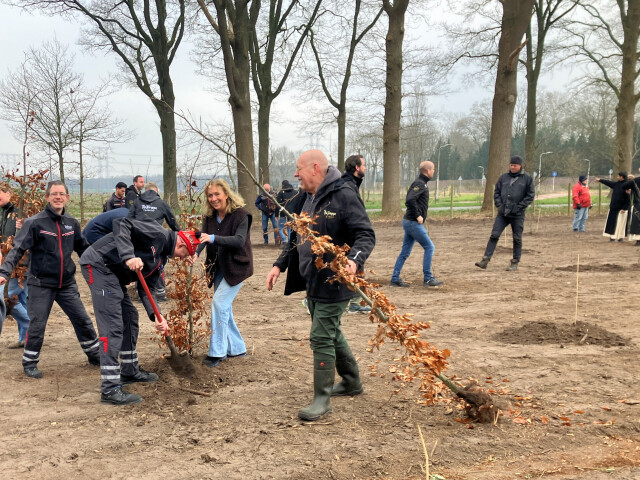 In 2025 gingen de 130 jonge eiken de grond in….