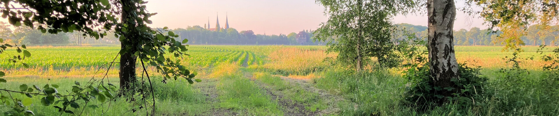 Nieuwe kloosterwandeling start en eindigt bij Abdij Koningshoeven