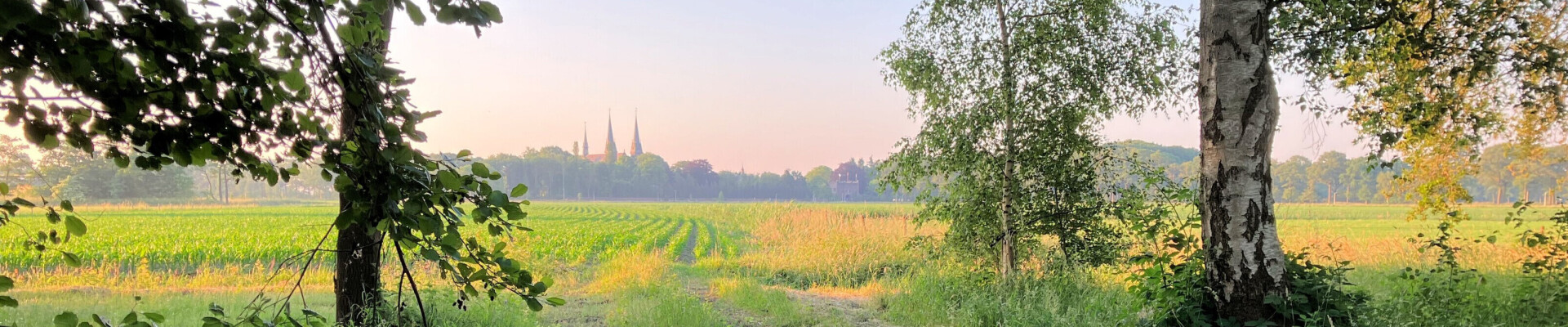 Preek van 15 oktober  2023