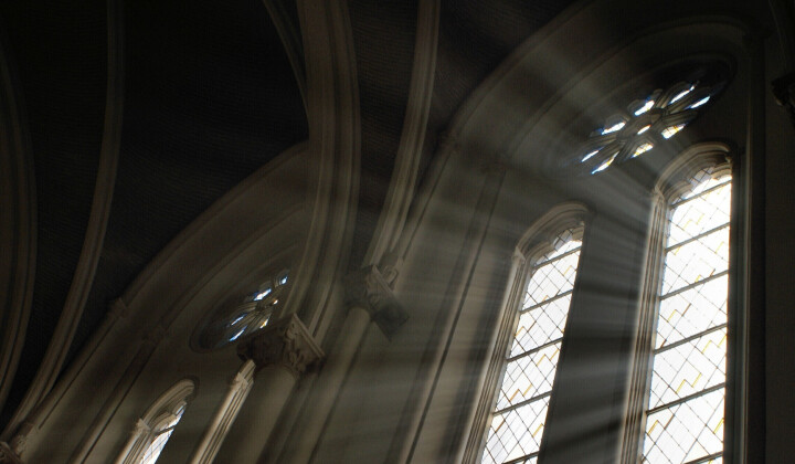 Kort nieuws (december)