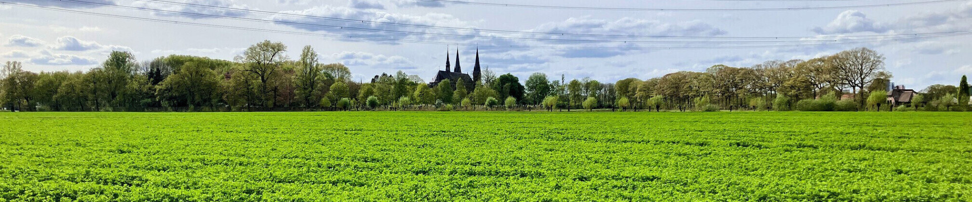 Preek van 9 mei 2024