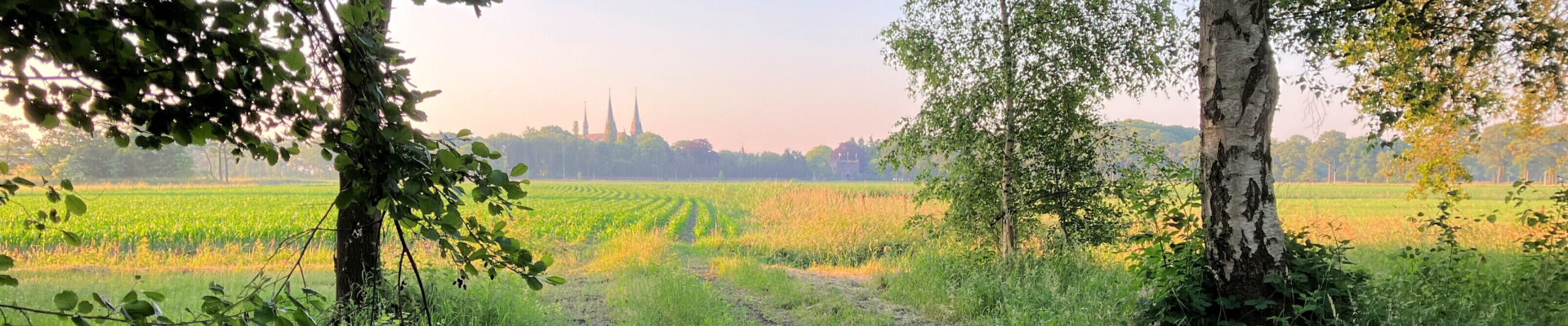 Preek van 19 mei 2024