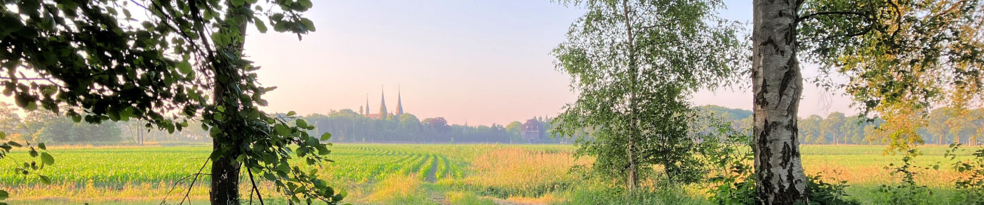 Preek van 26 mei 2024