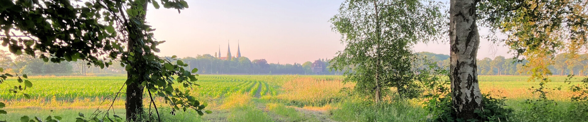 Preek van 2 juni 2024
