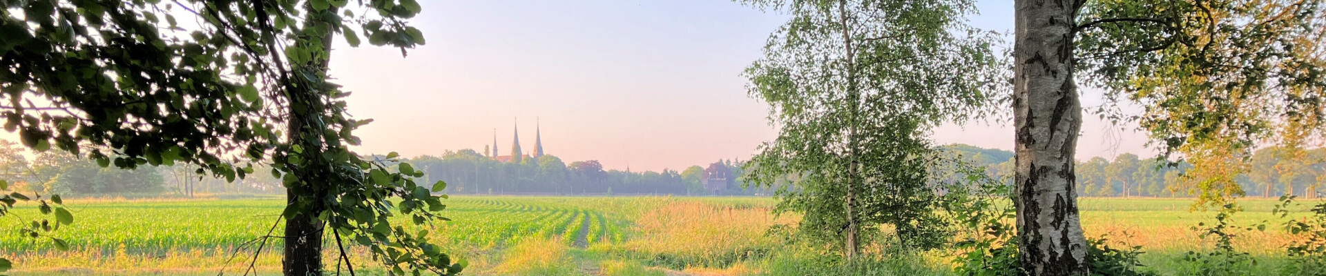 Preek van 9 juni 2024