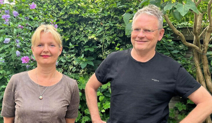 De wereld staat er beter voor dan je denkt