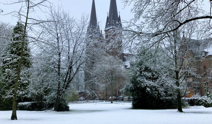 Winterse taferelen op Koningshoeven