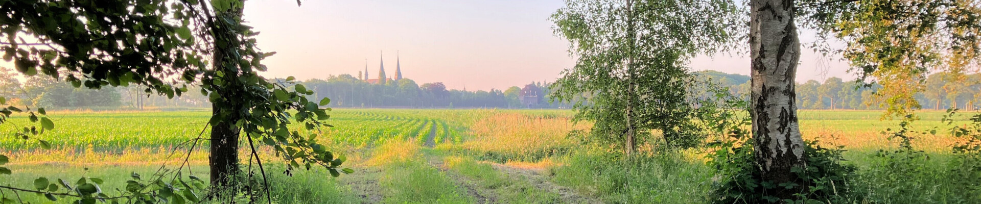 Preek van 23 maart 2025