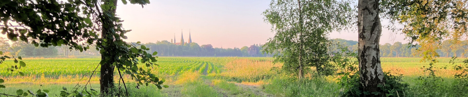 Preek van 6 april 2025