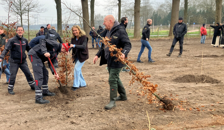 Boomplantdag 2025: de geboorte van het Nillis-bos
