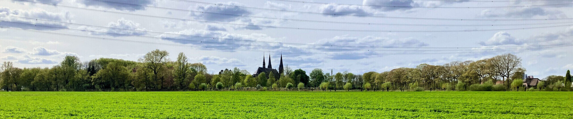 Preek van 8 juni 2025