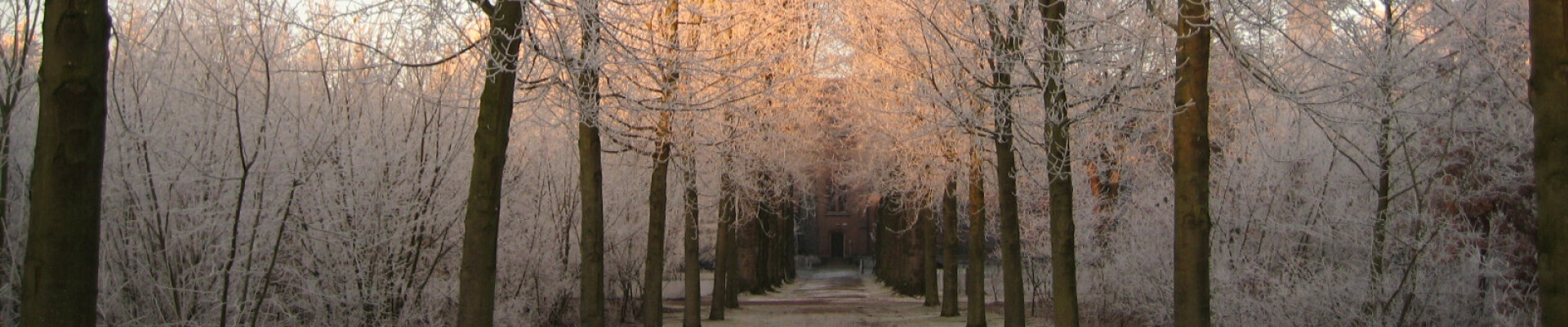 Kerstconcert 2025: samen zingen voor weeskinderen in Oeganda