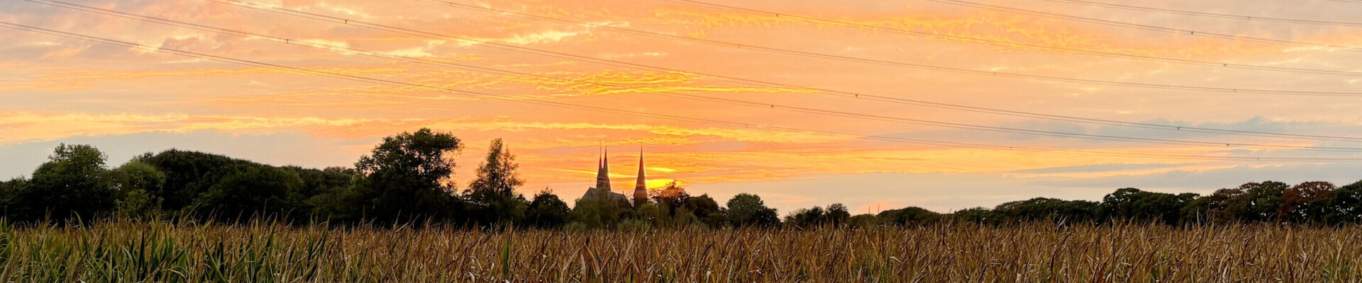 Preek van 9 november 2025