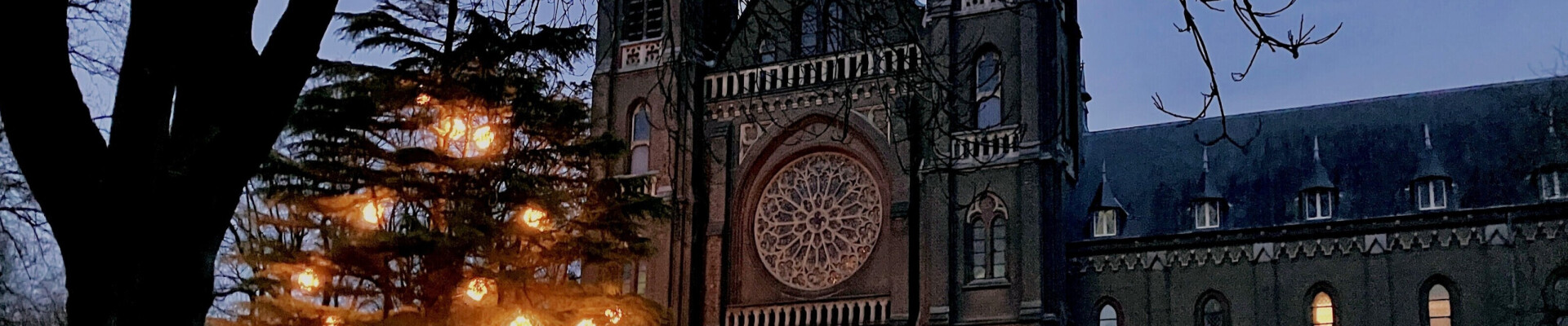 Preek van 14 december 2025