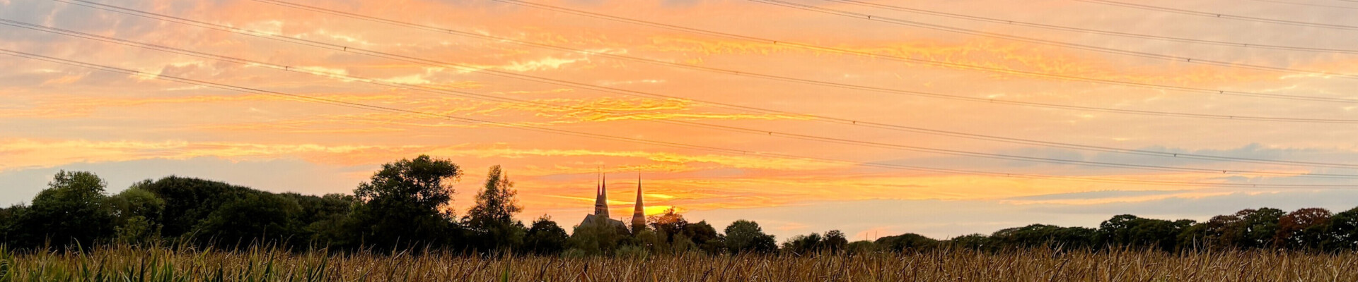 Preek van 18 januari 2026