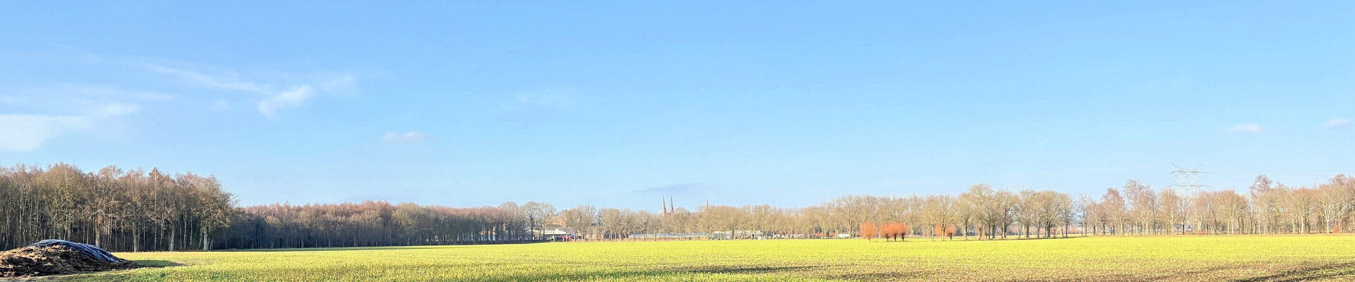 Preek van 1 februari 2026