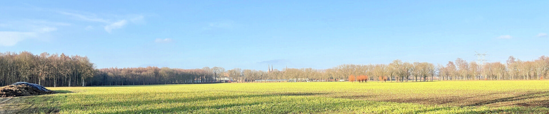 Preek van 8 februari 2026