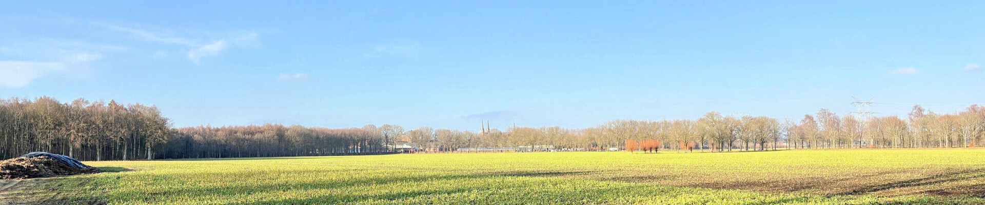 Preek van 15 februari 2026