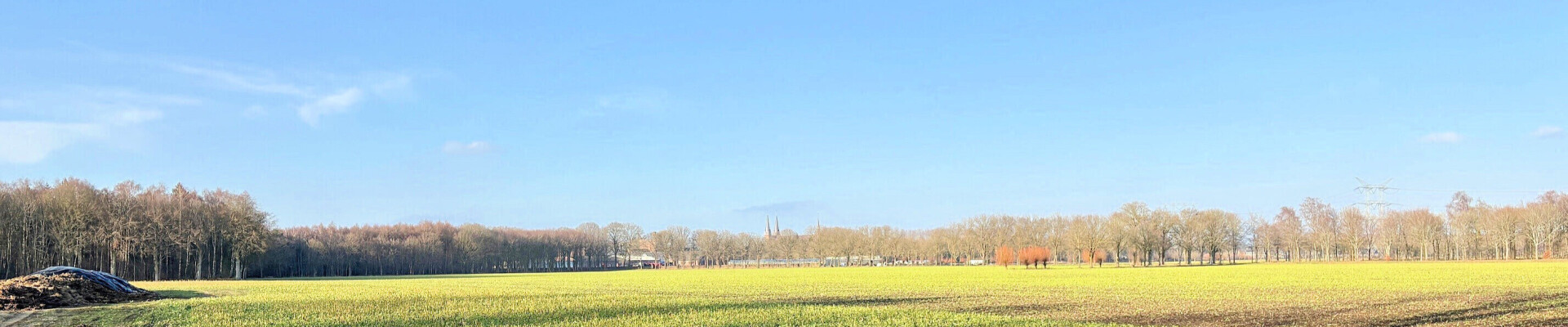 Preek van 22 februari 2026