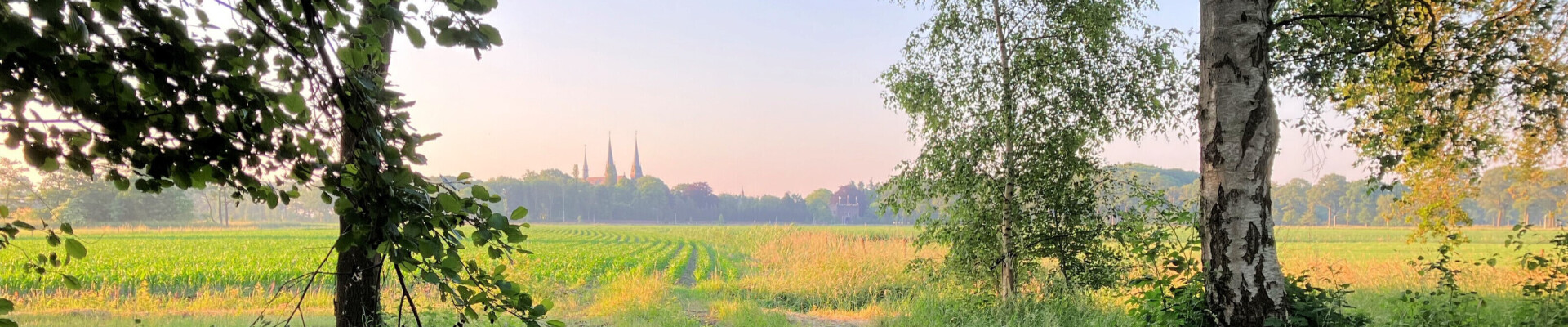 Preek van 31 mei 2026