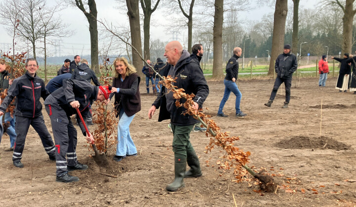 Ons Nillis-bos, één jaar later