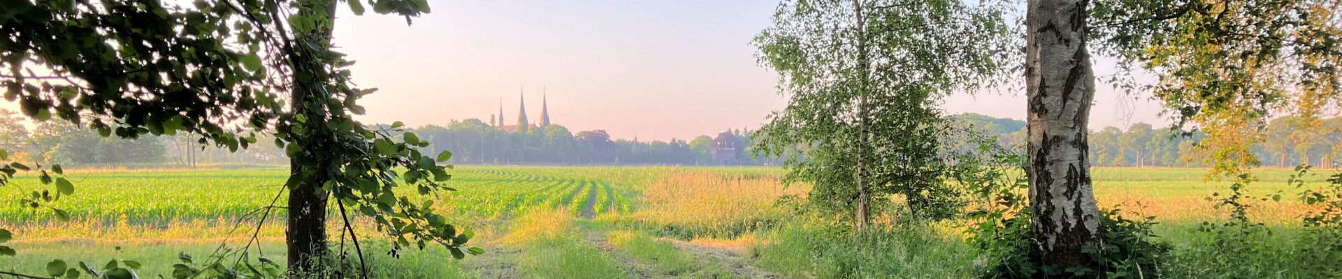 Preek van 7 juni 2026
