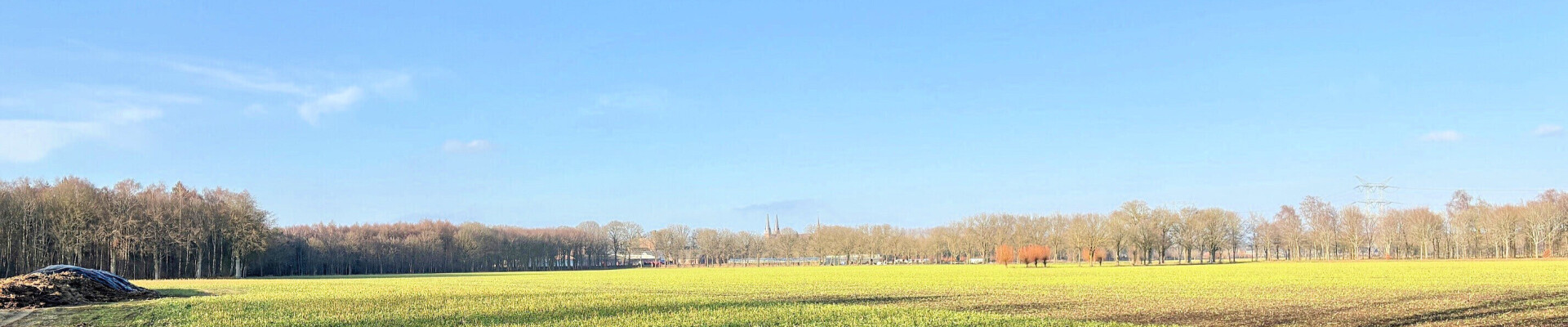 Preek van 25 oktober 2026