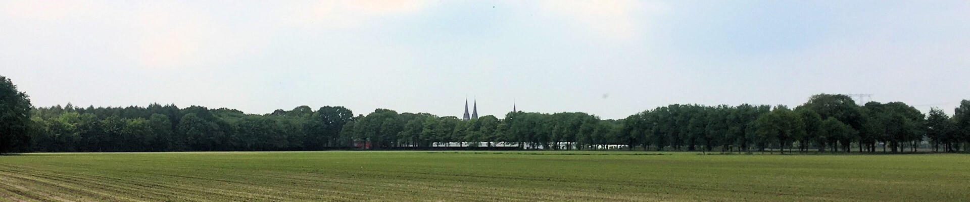 Vanaf 1 juli weer openbare vieringen