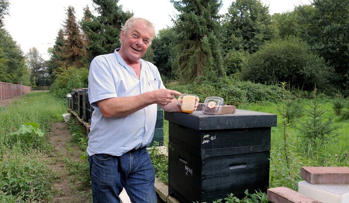 Nieuw van eigen makelij: honingraat en kaaskoekjes