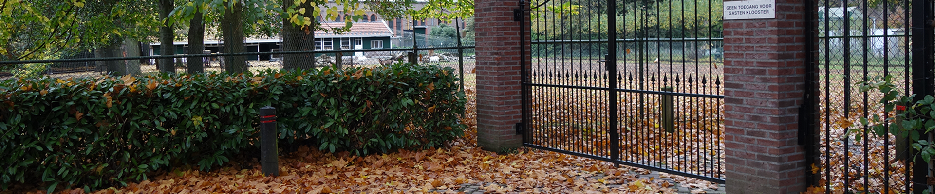 Schoonheid brengt troost