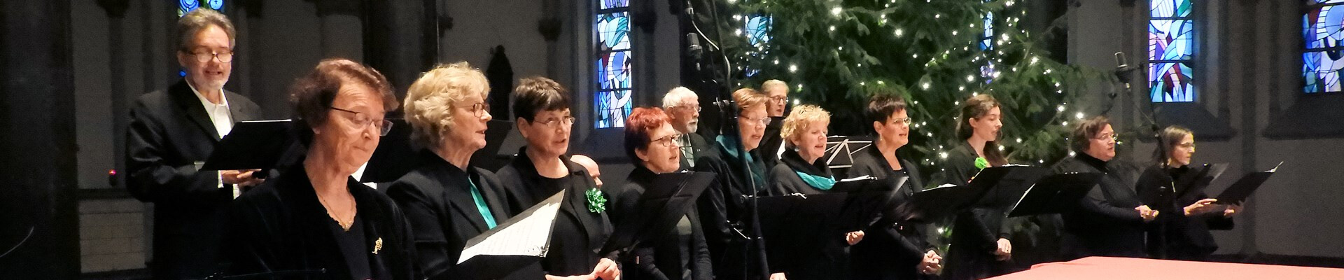 Een digitale kerstgroet 2020 namens het Kerstconcert.